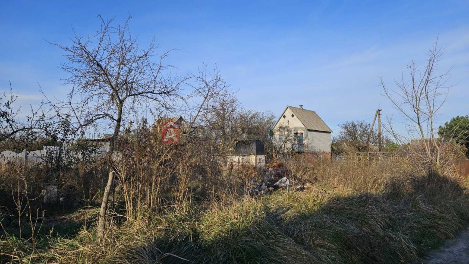 ����, 55 ��.�. ���� 5