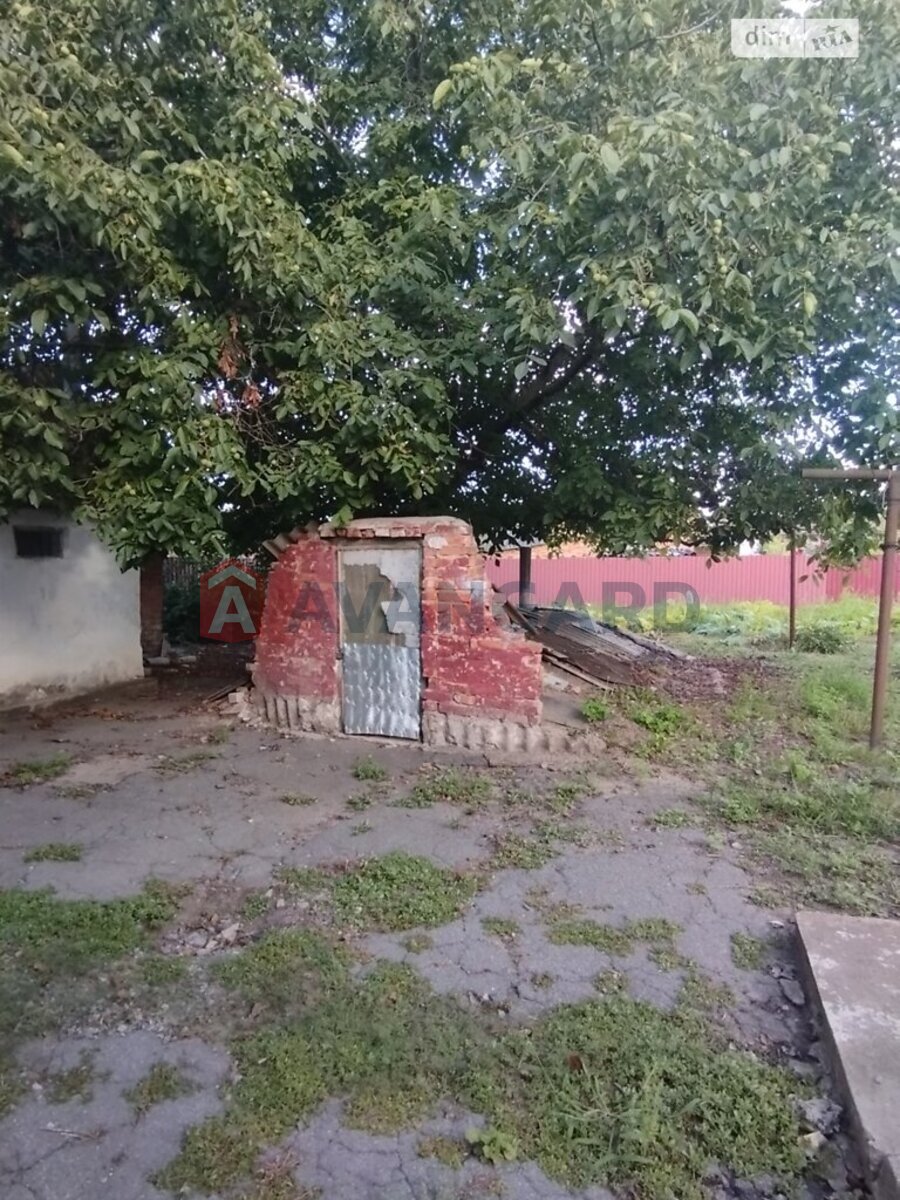 �������, 102 ��.�. ���� 23