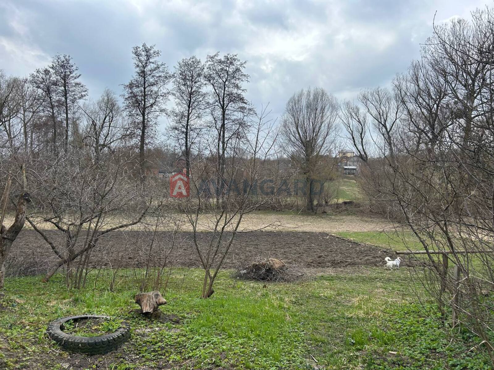 �������, 45 ��.�. ���� 2