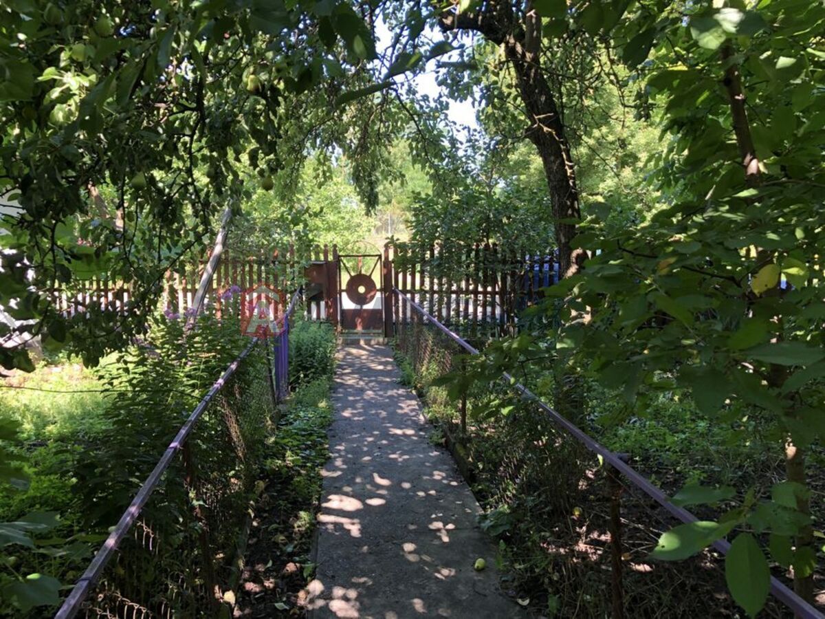 �������, 89 ��.�. ���� 8