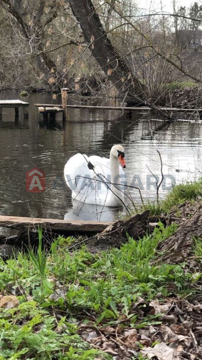 �������, 89 ��.�. ���� 24