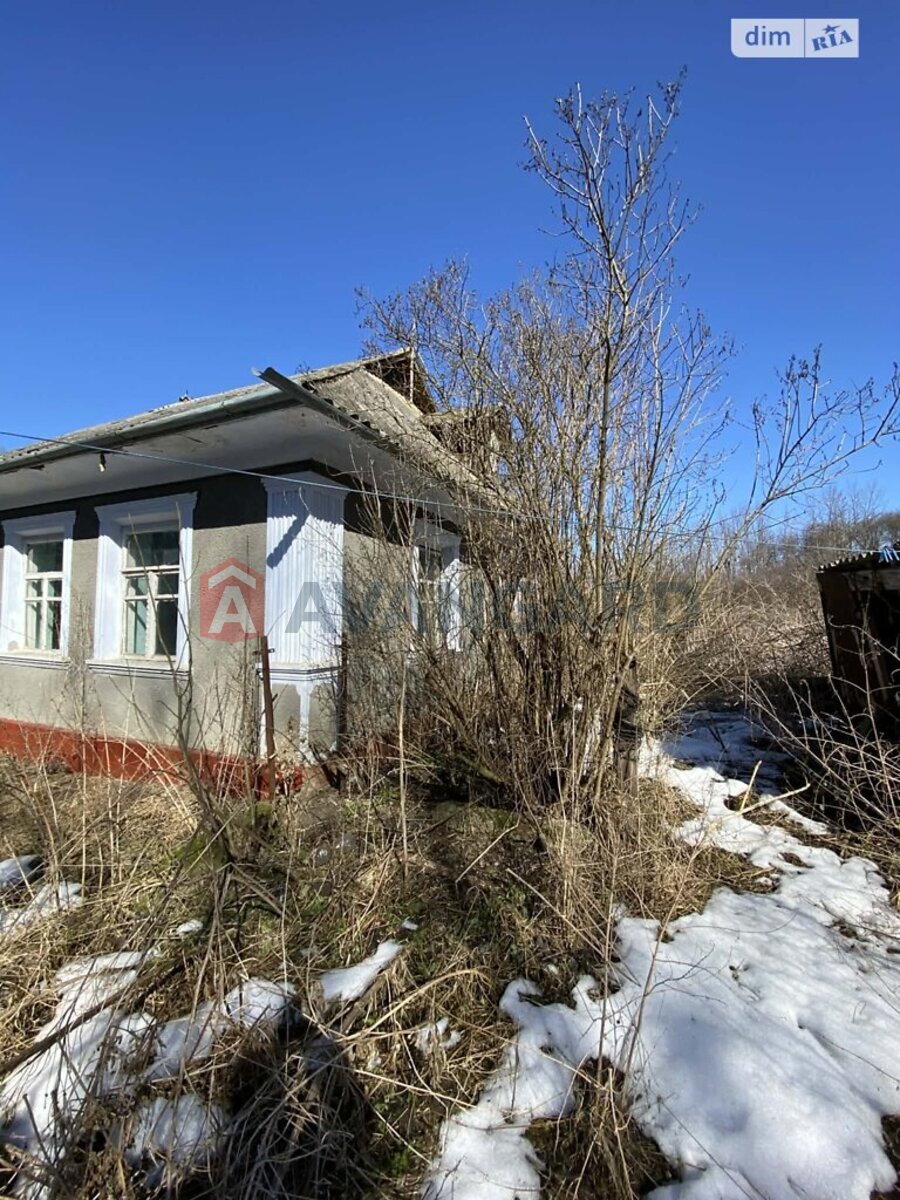 �������, 80 ��.�. ���� 16