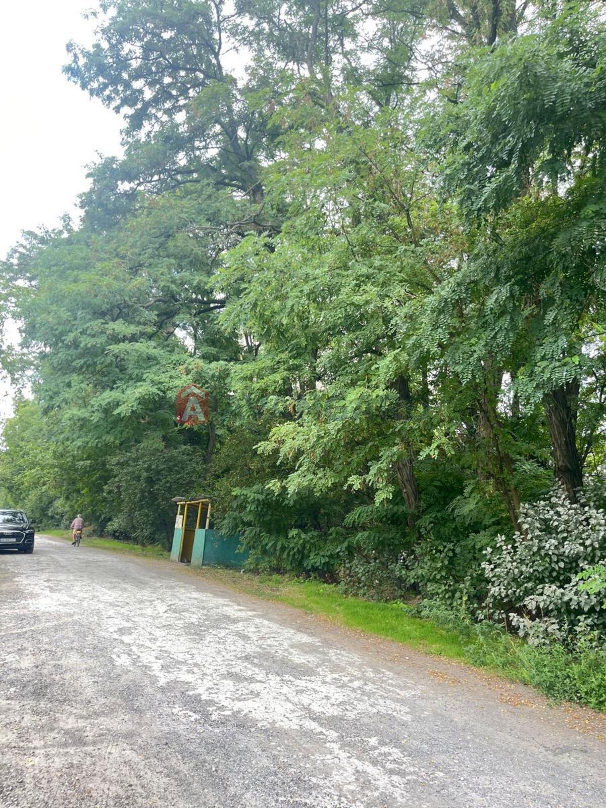 ����, 6 ��.�. ���� 11