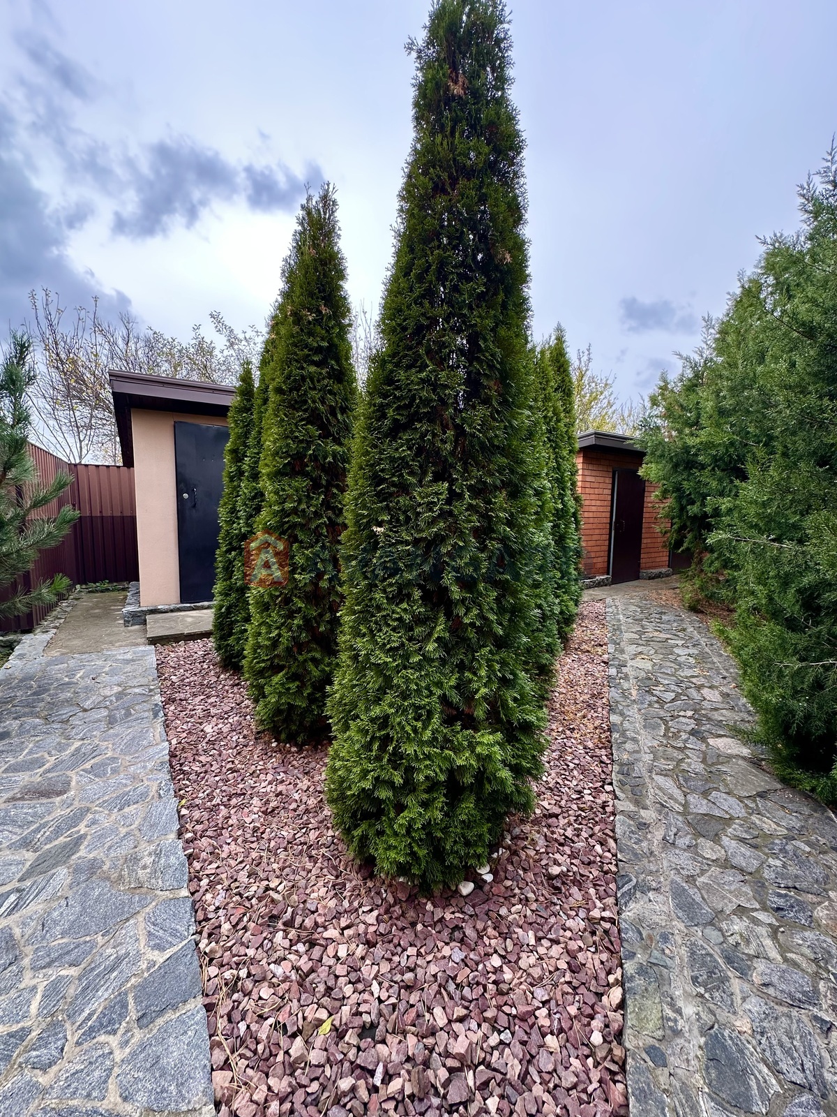 �������, 176 ��.�. ���� 12