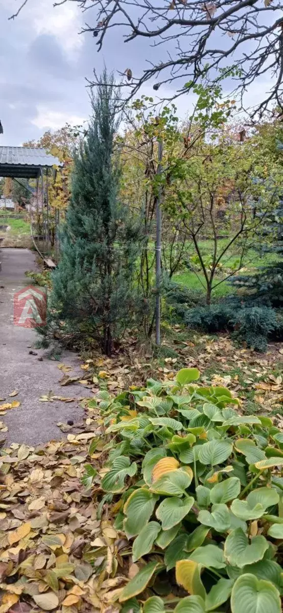 ����, 120 ��.�. ���� 2