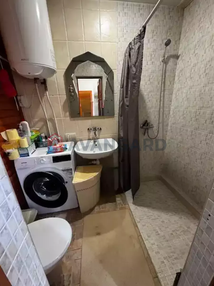 �������, 81 ��.�. ���� 5