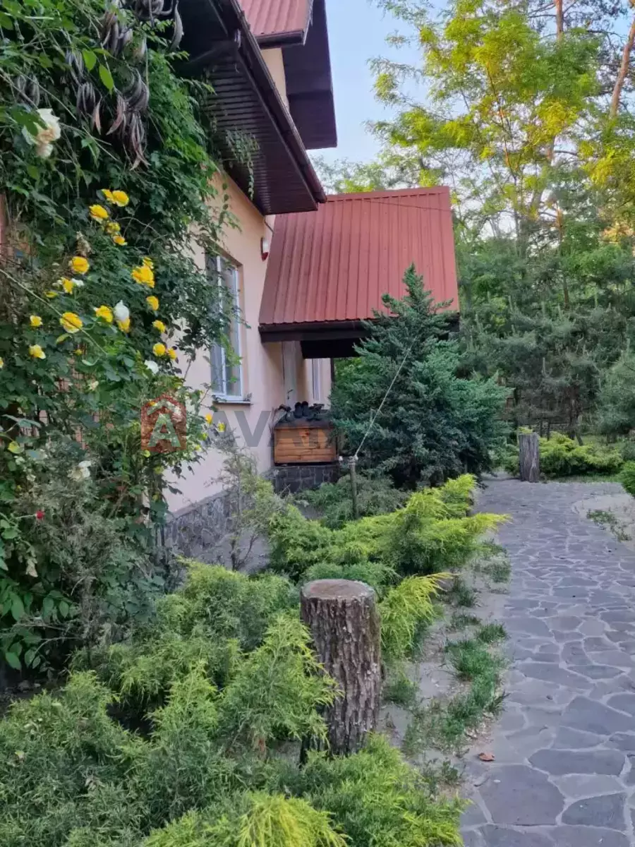 216 ��.�. ���� 15