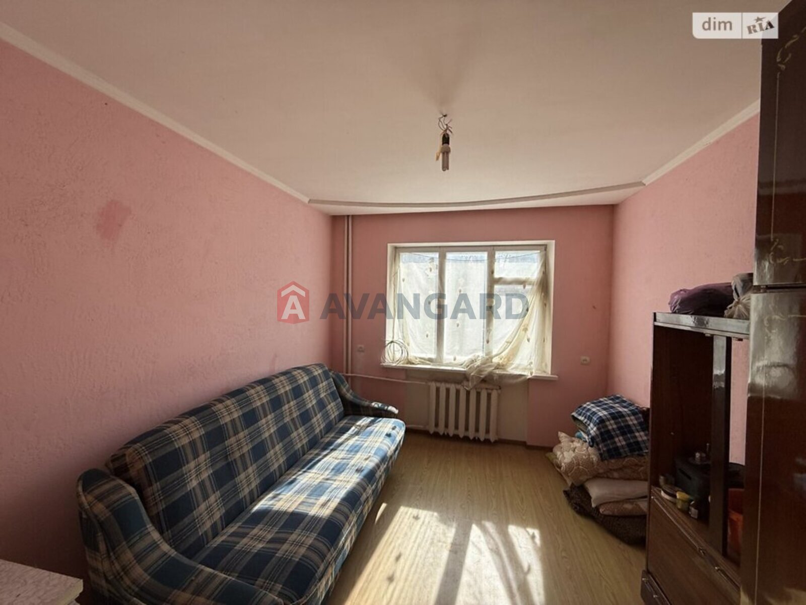 �������, 146 ��.�. ���� 14