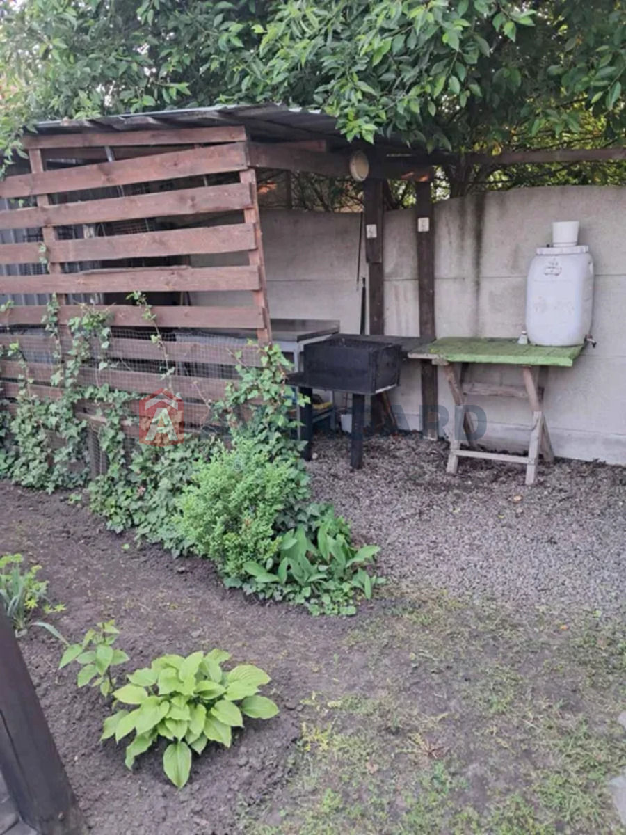 �������, 50 ��.�. ���� 16