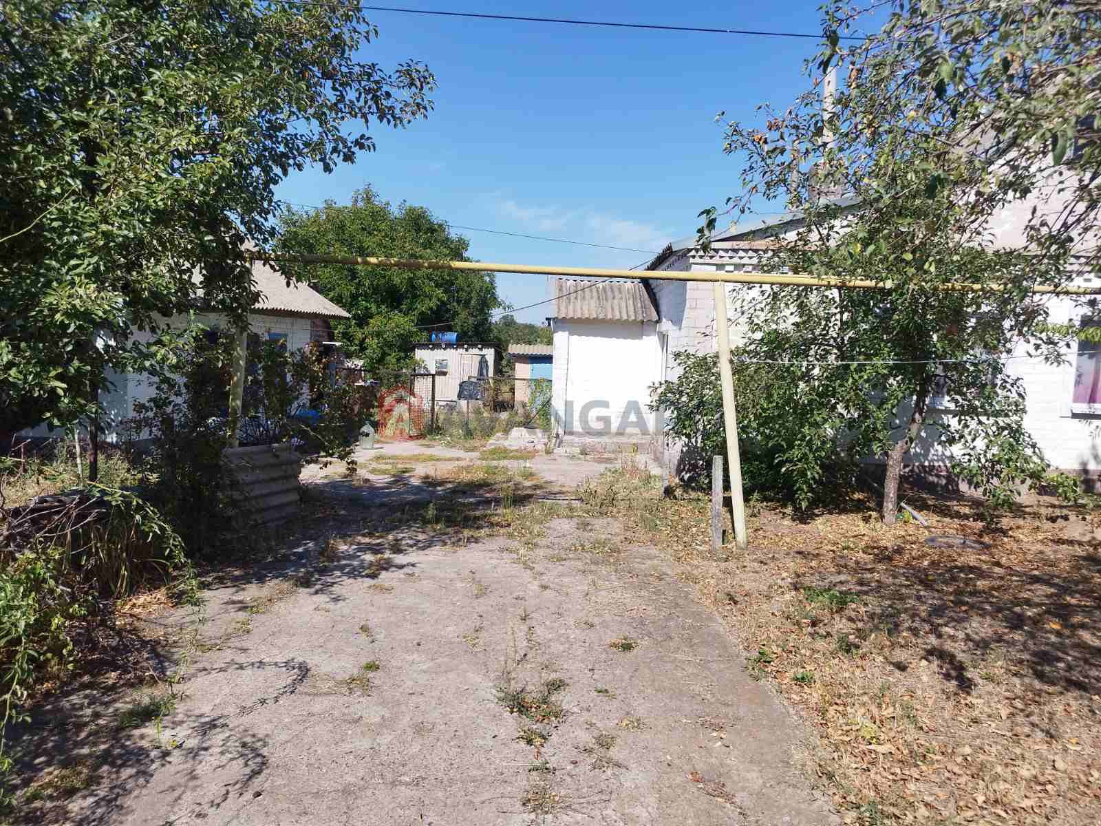 �������, 80 ��.�. ���� 3