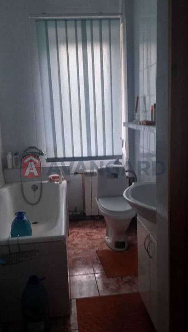 �������, 196 ��.�. ���� 8