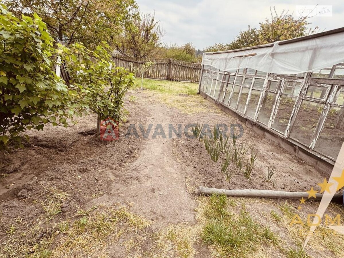 ����� ����, 104 ��.�. ���� 15