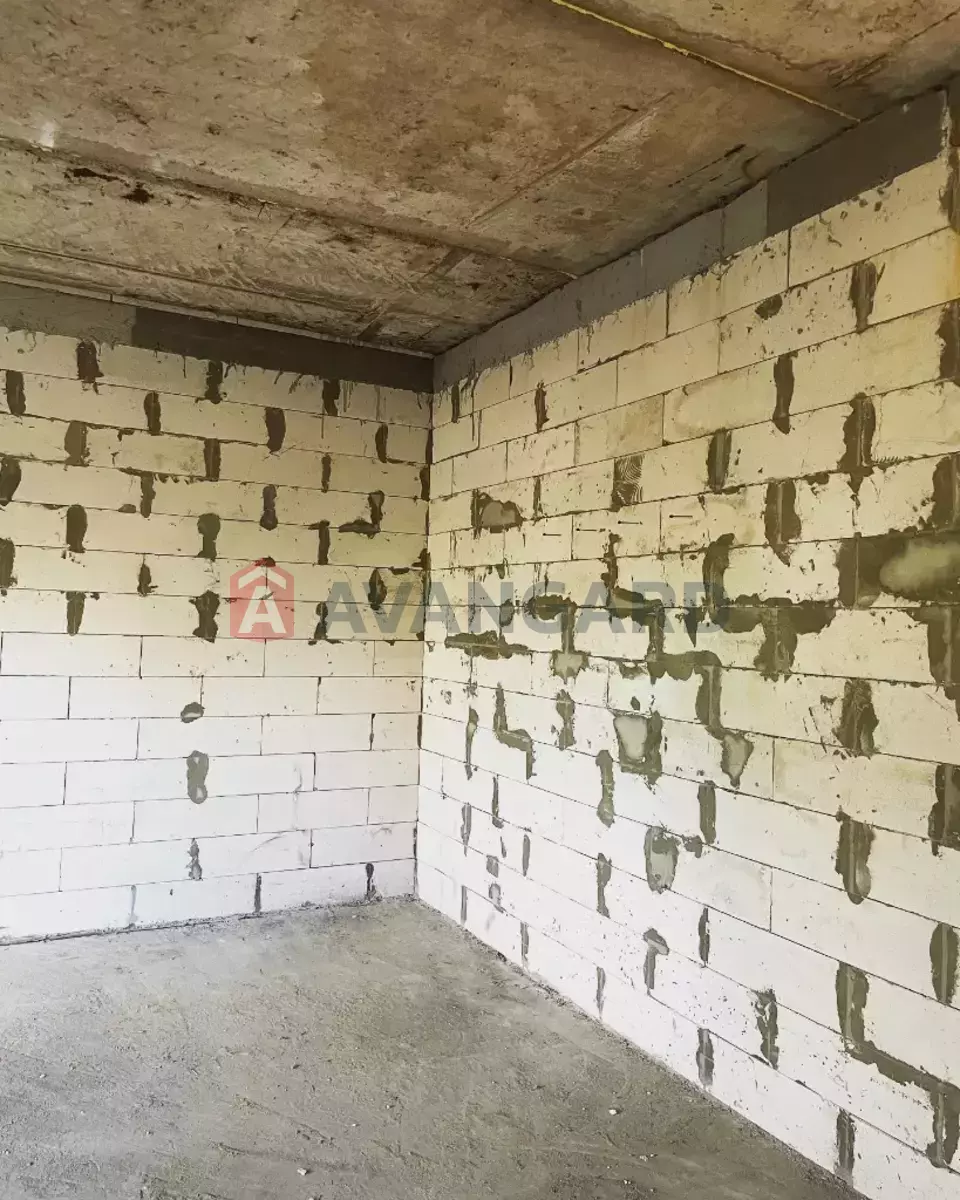 �������, 163 ��.�. ���� 8