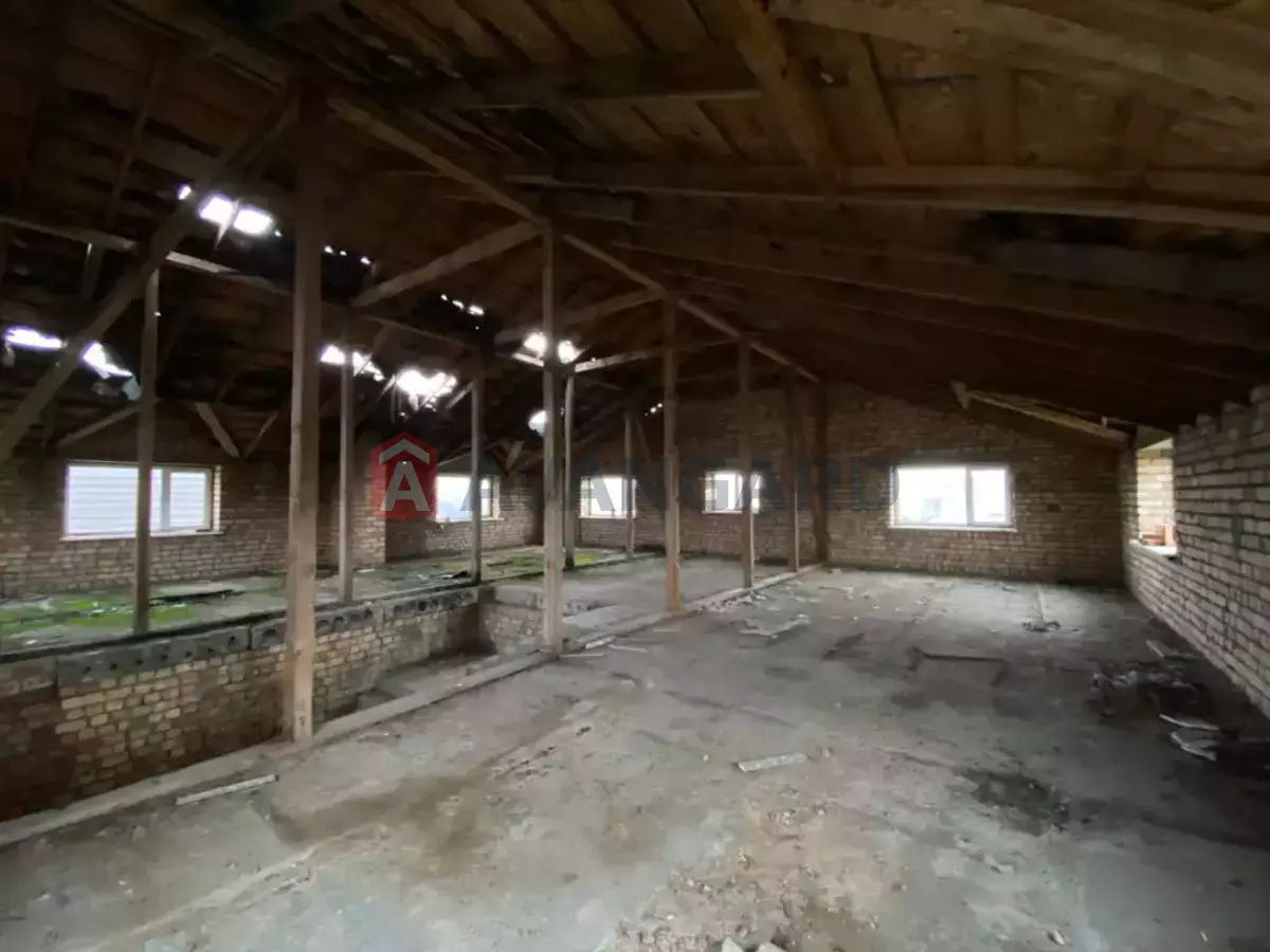 �������, 280 ��.�. ���� 12