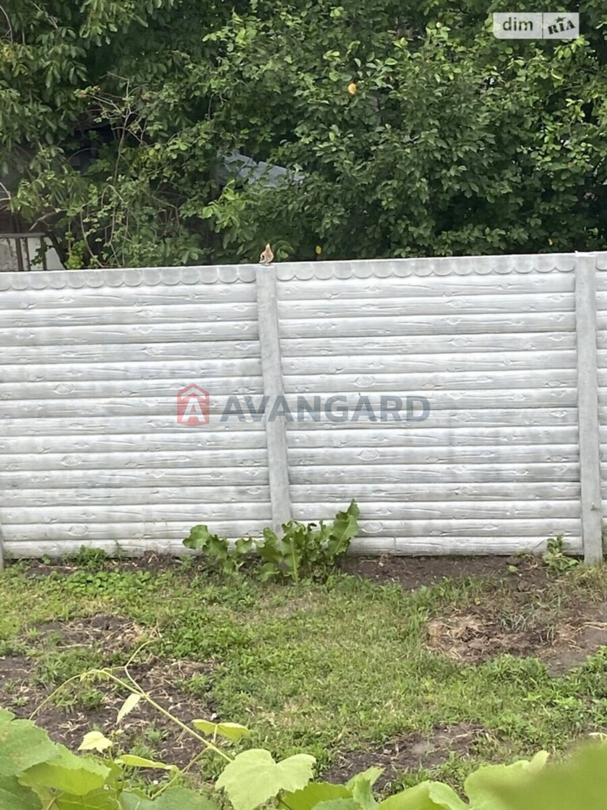 ����, 120 ��.�. ���� 13