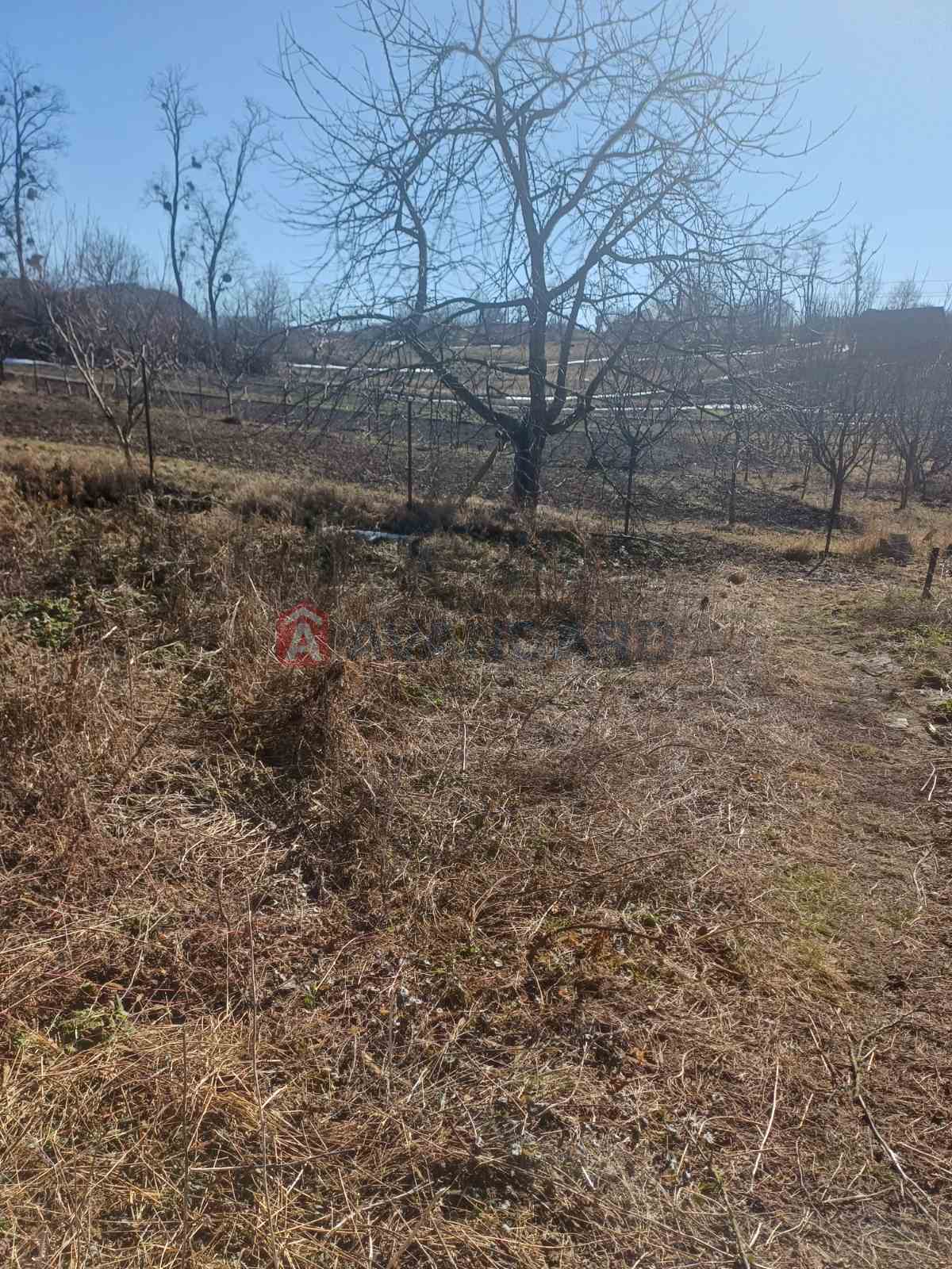 ���, 42 ��.�. ���� 9