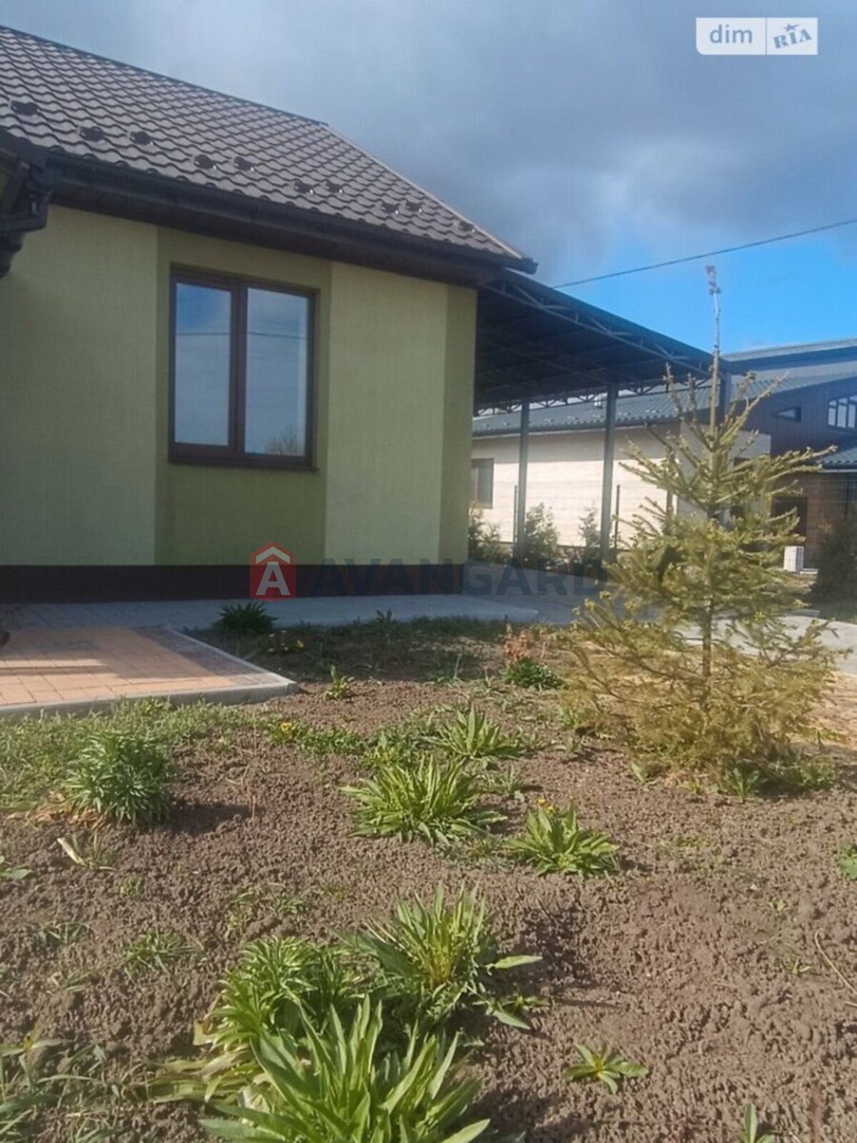 ���, 100 ��.�. ���� 1