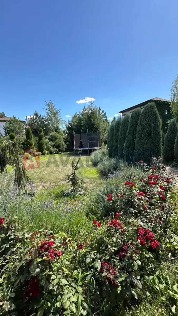 ����, 100 ��.�. ���� 10