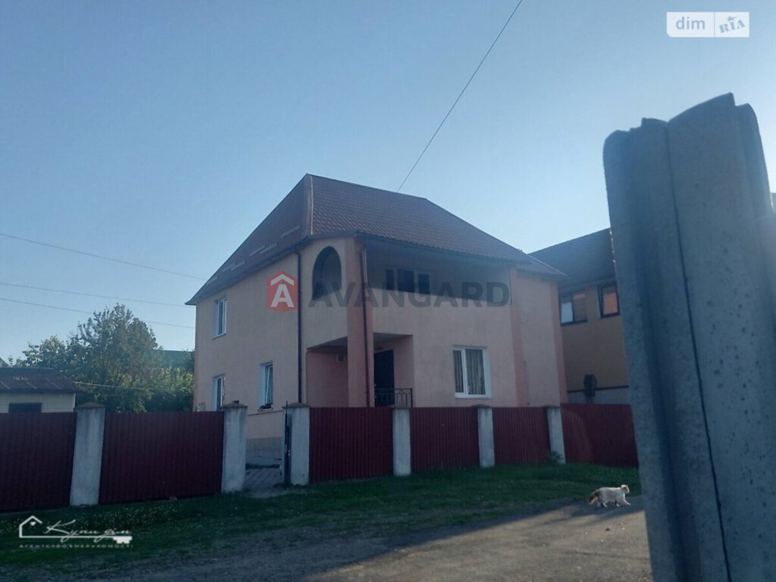 �������, 231 ��.�. ���� 5