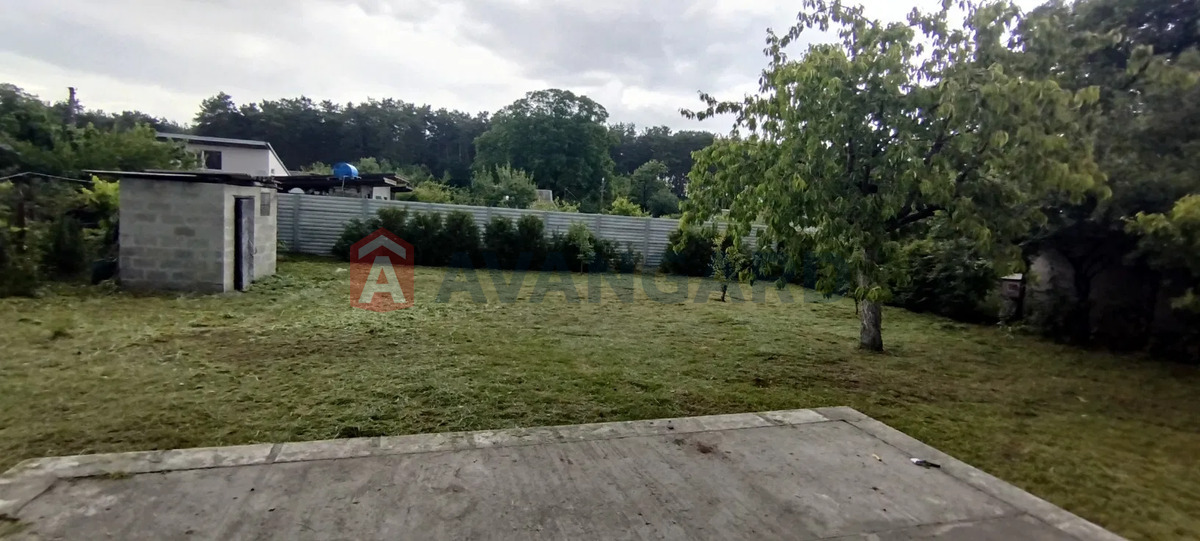 ����, 40 ��.�. ���� 7