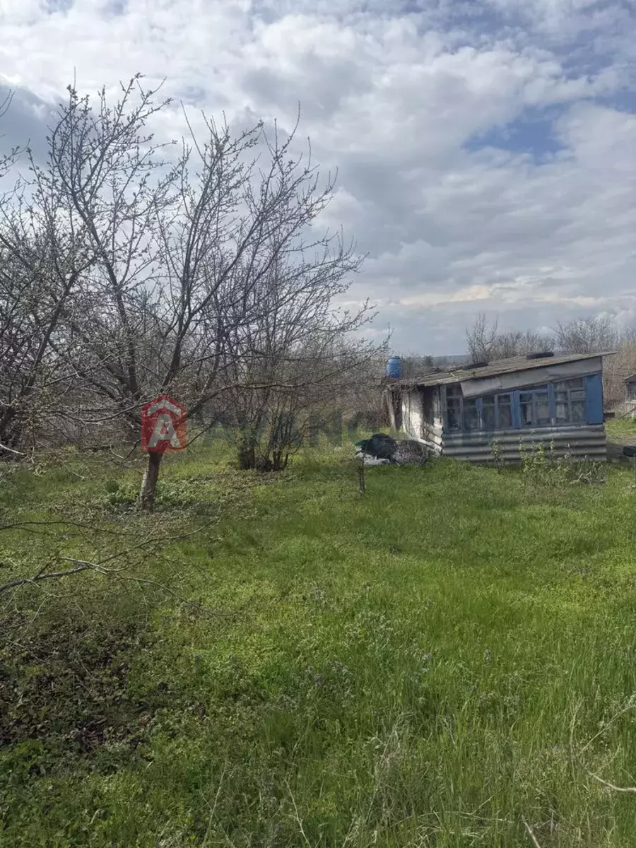 ����, 41 ��.�. ���� 5