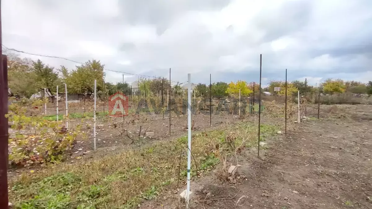 �������, 95 ��.�. ���� 11