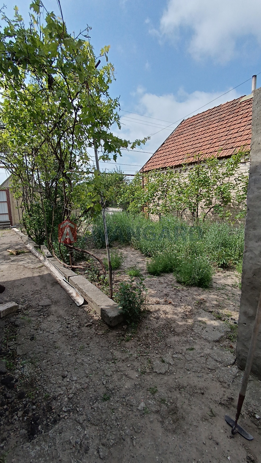 , 80 ..  24