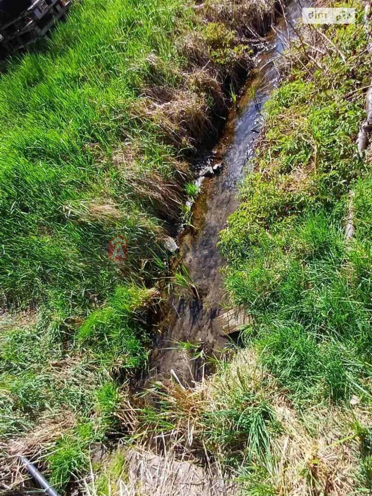 �������, 80 ��.�. ���� 10