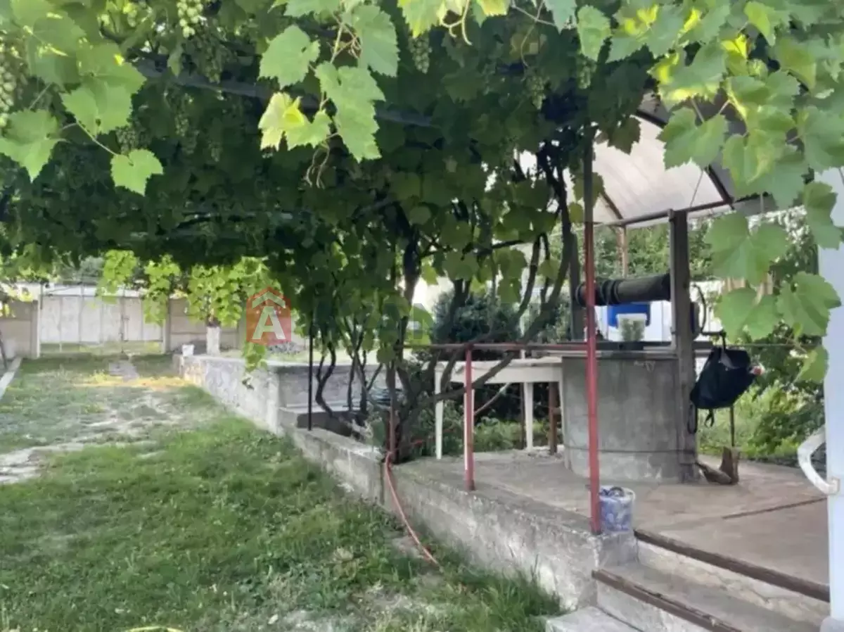 �������, 39 ��.�. ���� 7