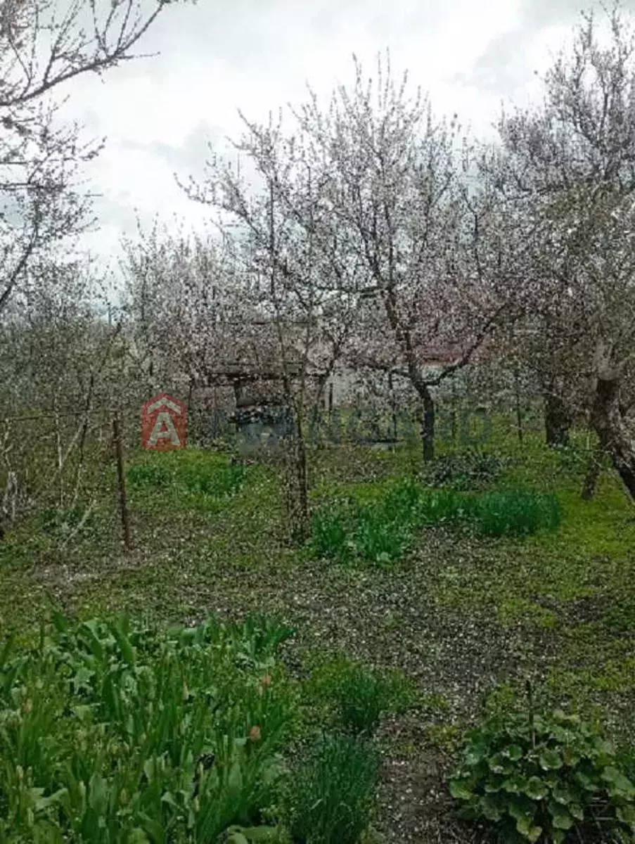 �������, 62 ��.�. ���� 17