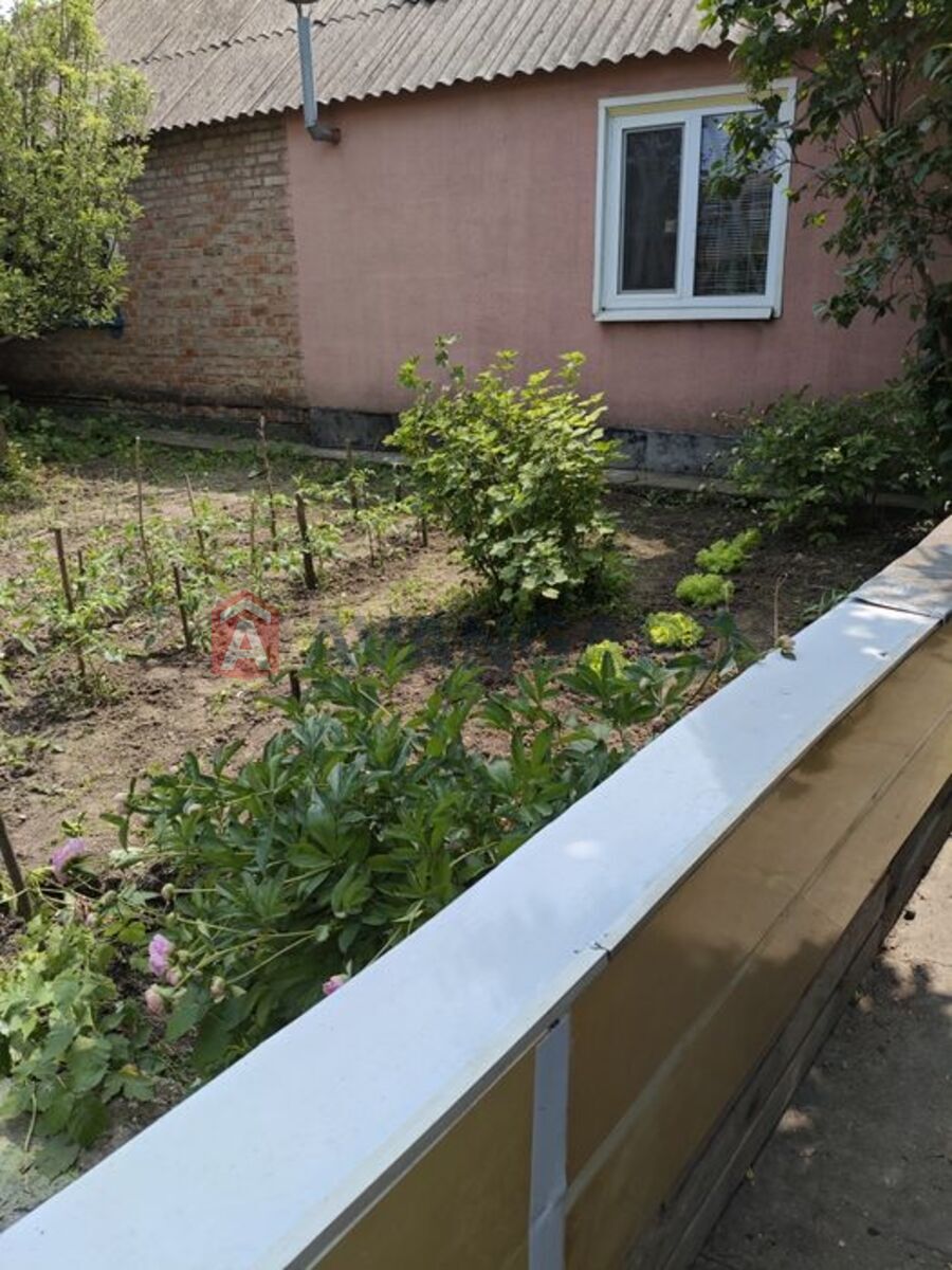 ���, 82 ��.�. ���� 8