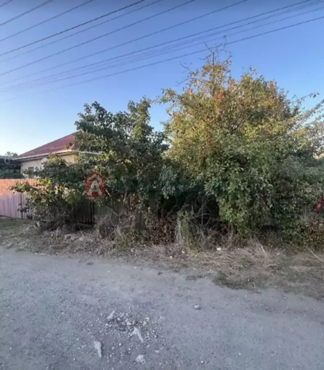 �������, 53 ��.�. ���� 4