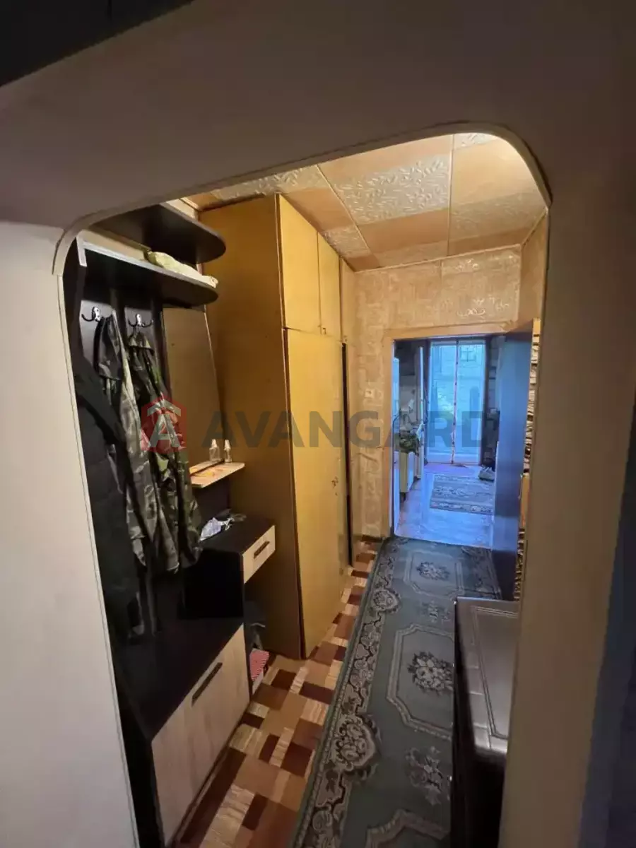 ����� ����, 50 ��.�. ���� 3
