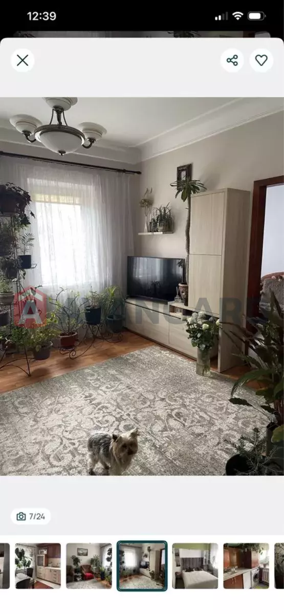 ���, 80 ��.�. ���� 4