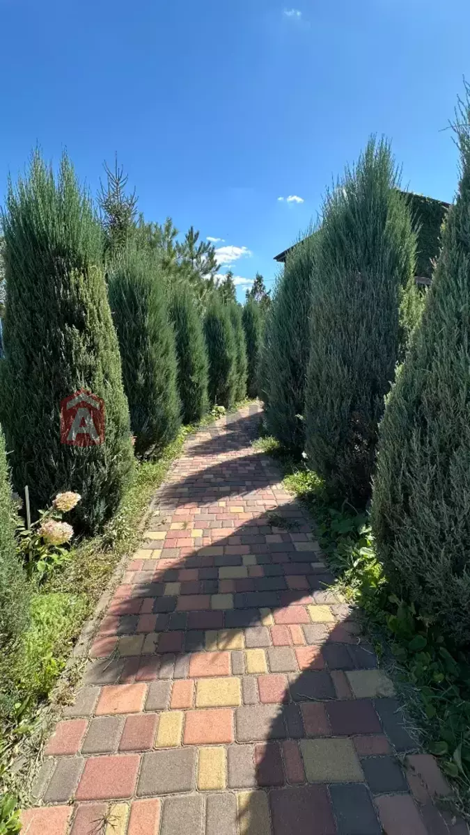 ����, 100 ��.�. ���� 6