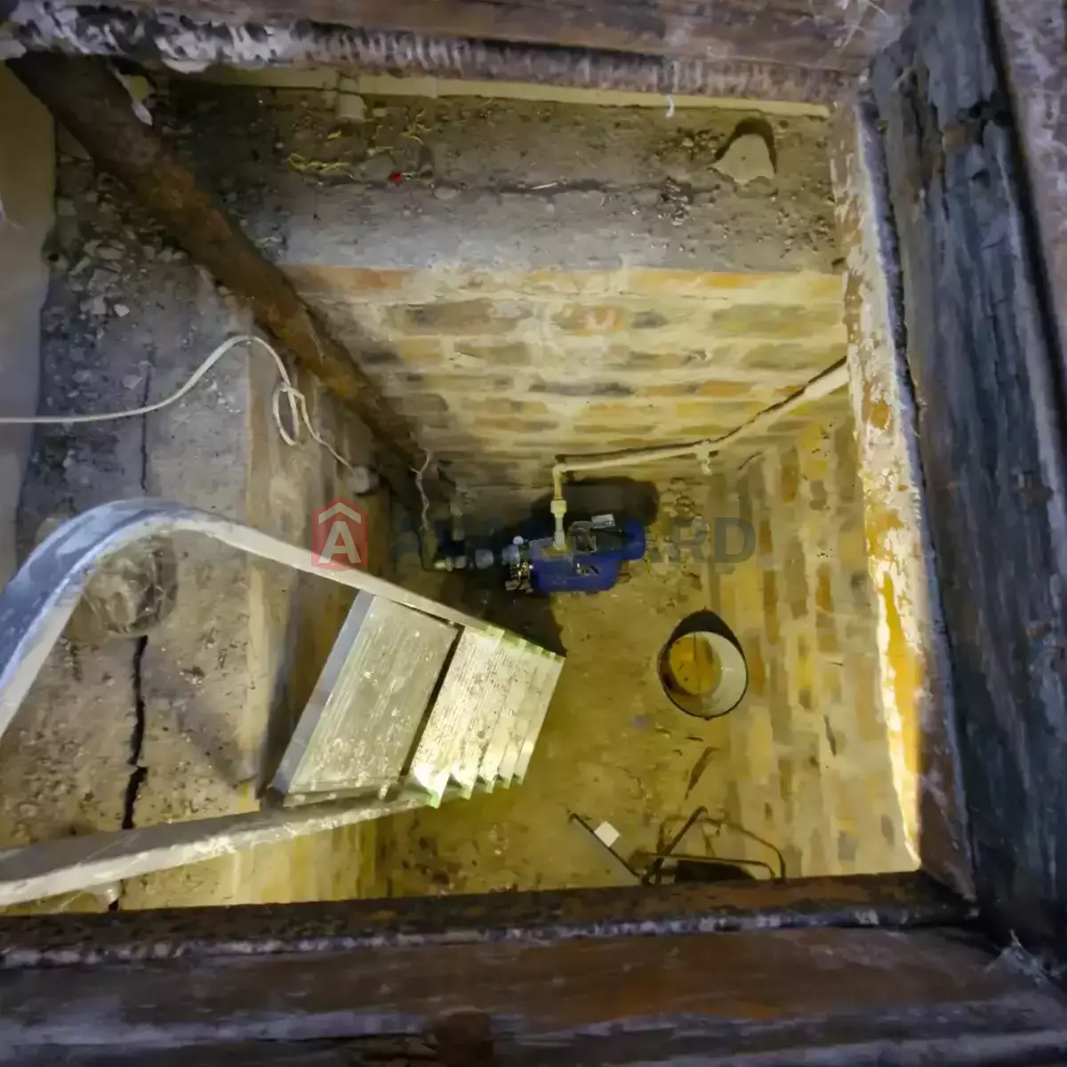 ����, 38 ��.�. ���� 15