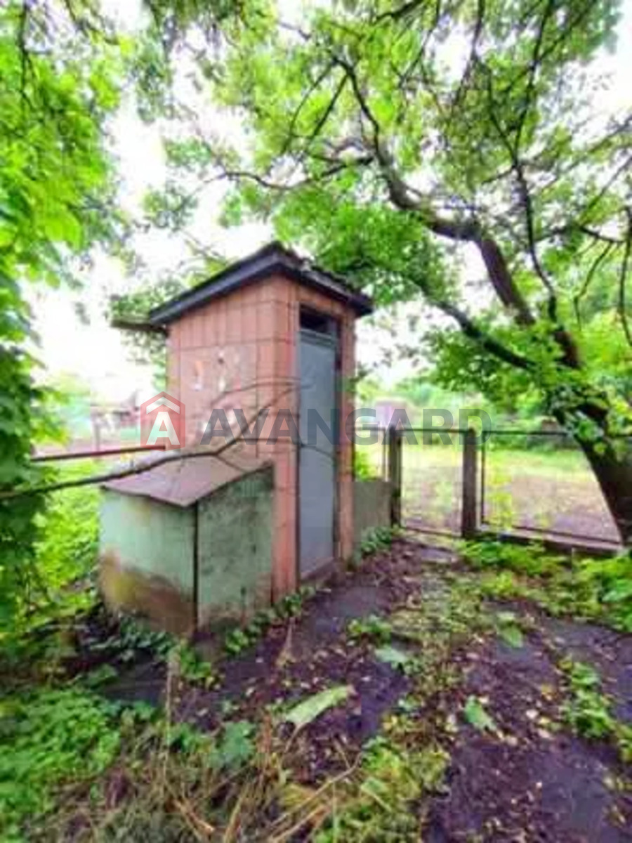 �������, 164 ��.�. ���� 4