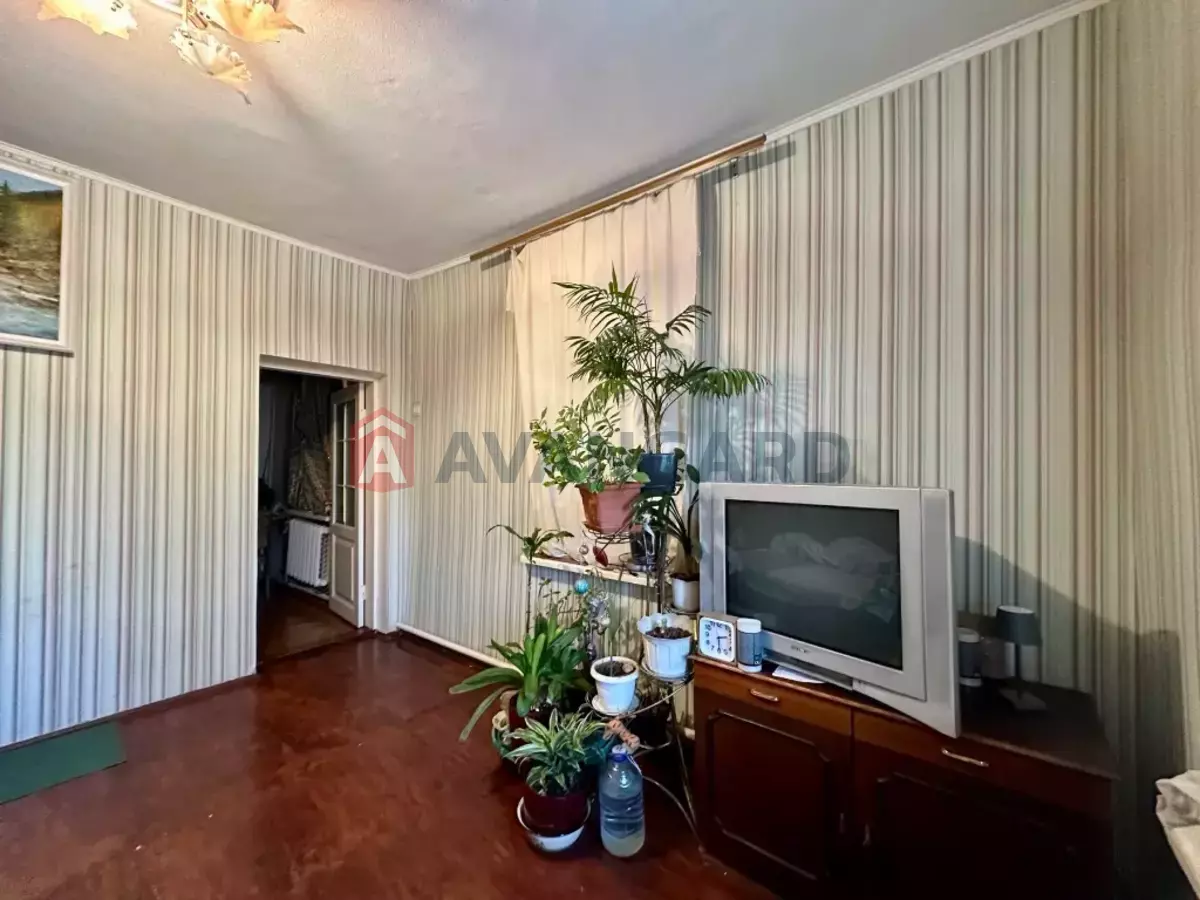 �������, 146 ��.�. ���� 19