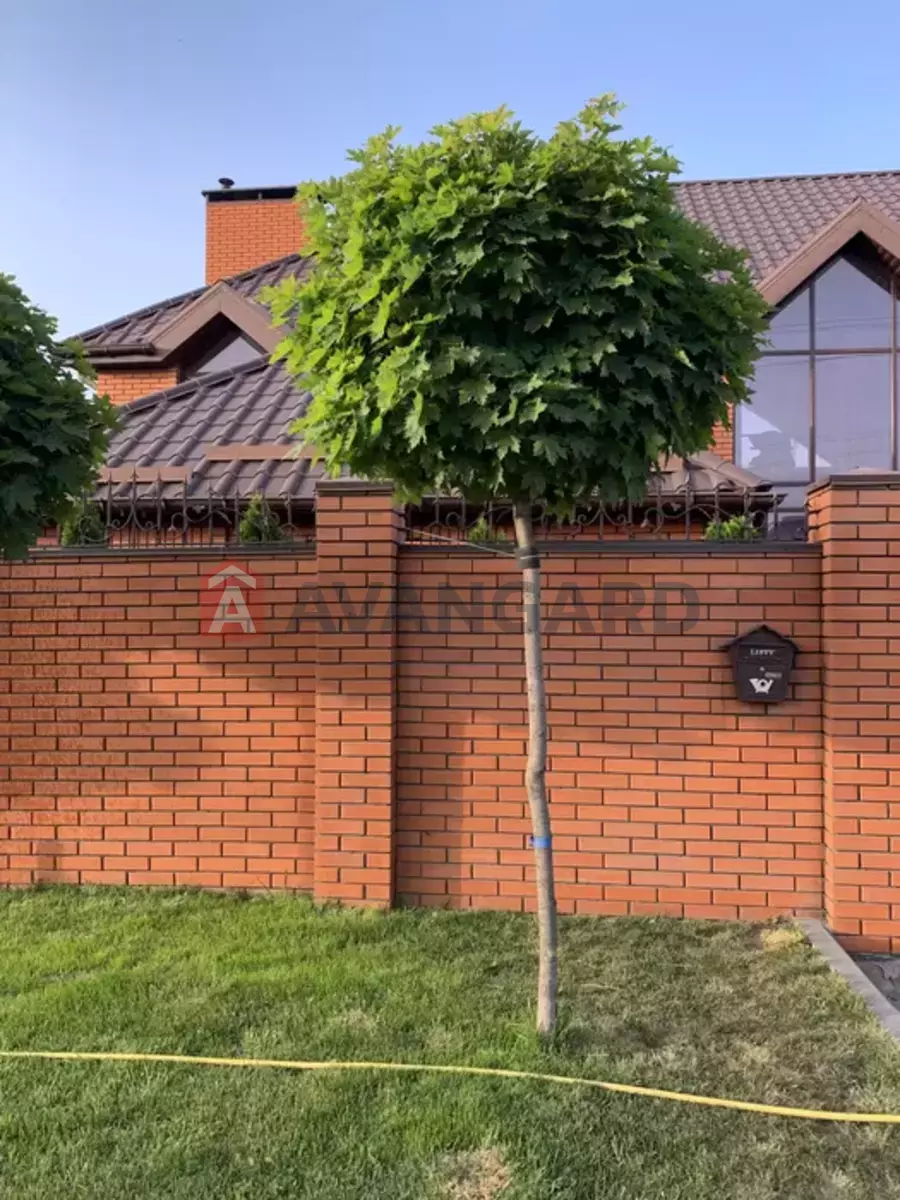 �������, 400 ��.�. ���� 19