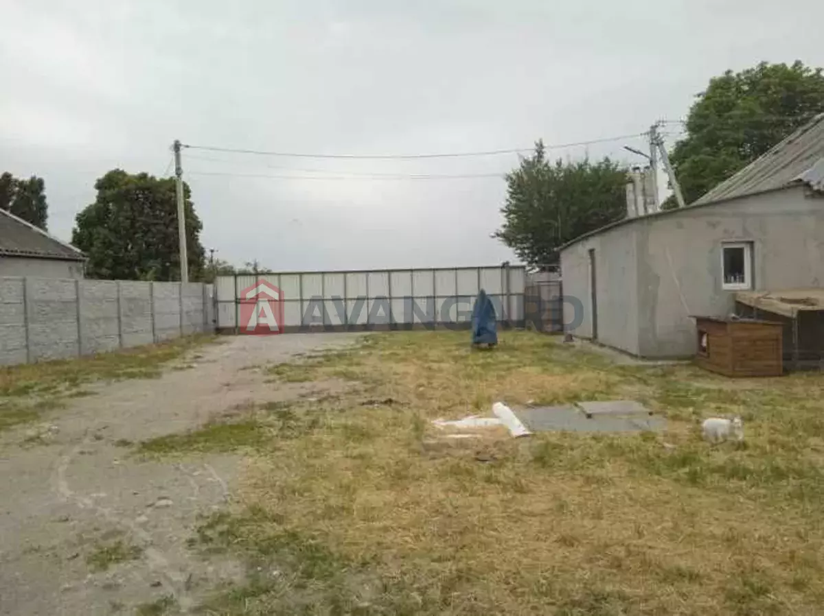 �������, 80 ��.�. ���� 1