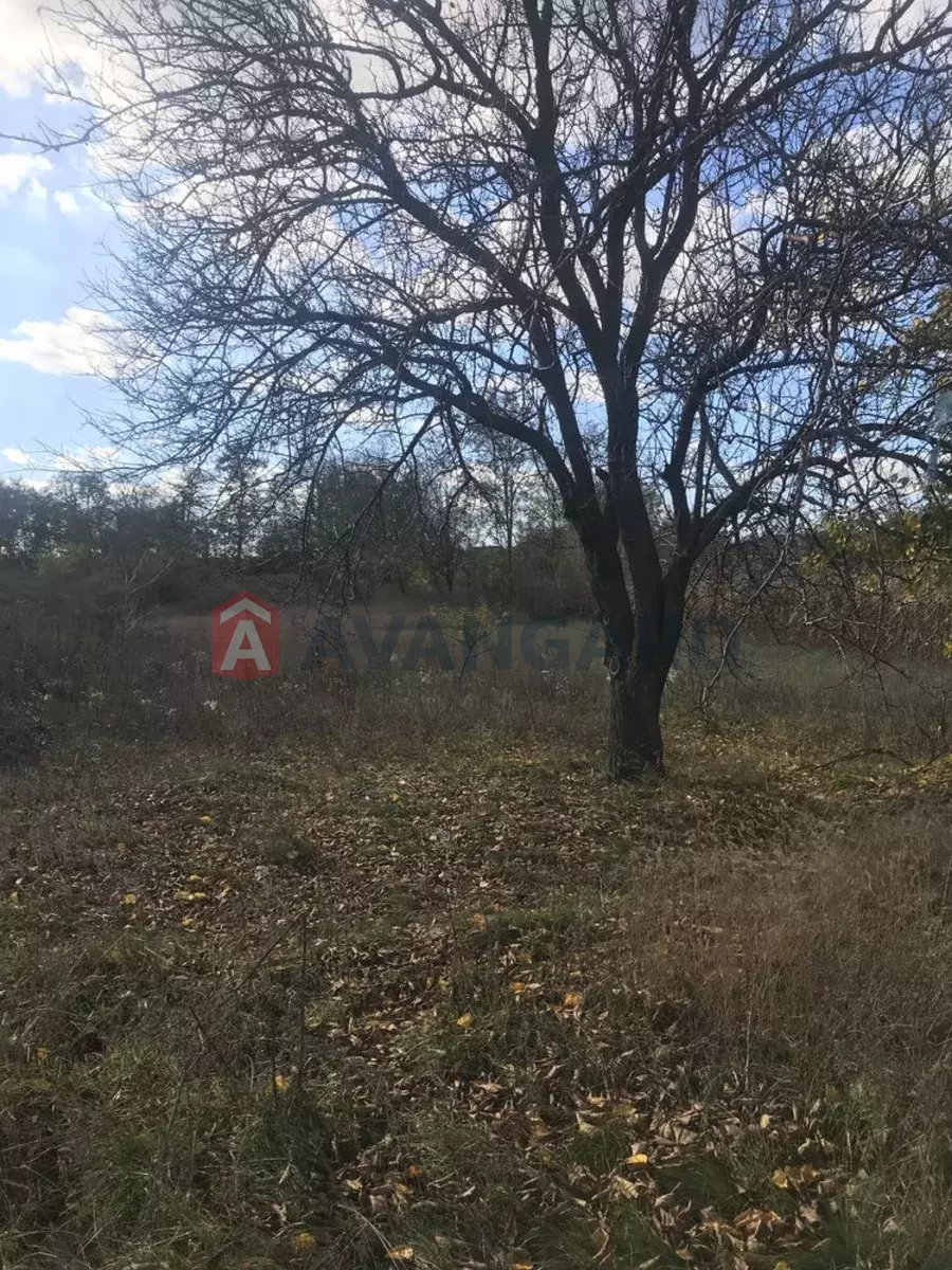 �������, 140 ��.�. ���� 3