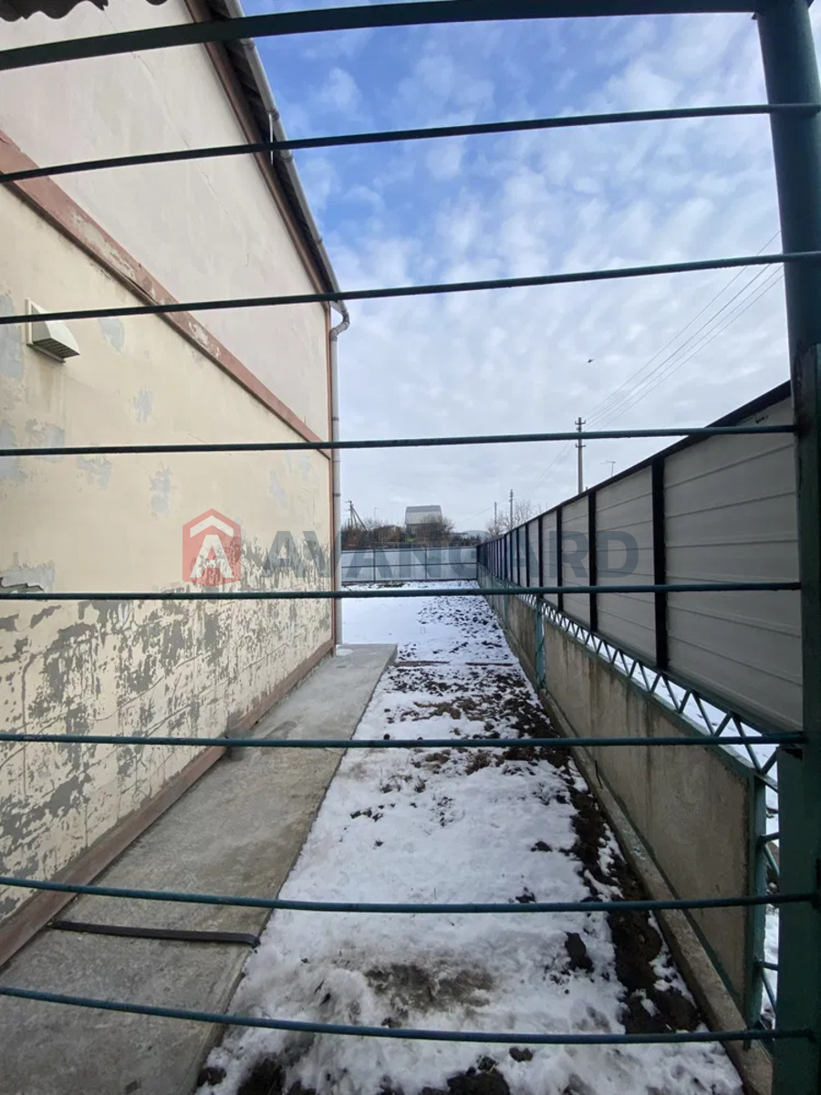 �������, 50 ��.�. ���� 2