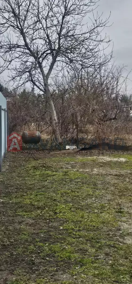 ����, 42 ��.�. ���� 8