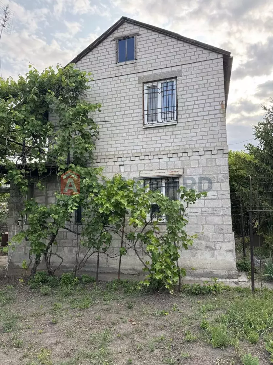 ����, 55 ��.�. ���� 1