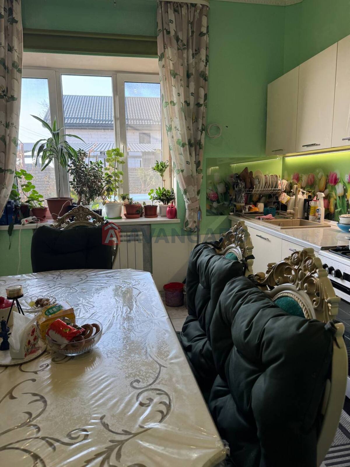 �������, 237 ��.�. ���� 20