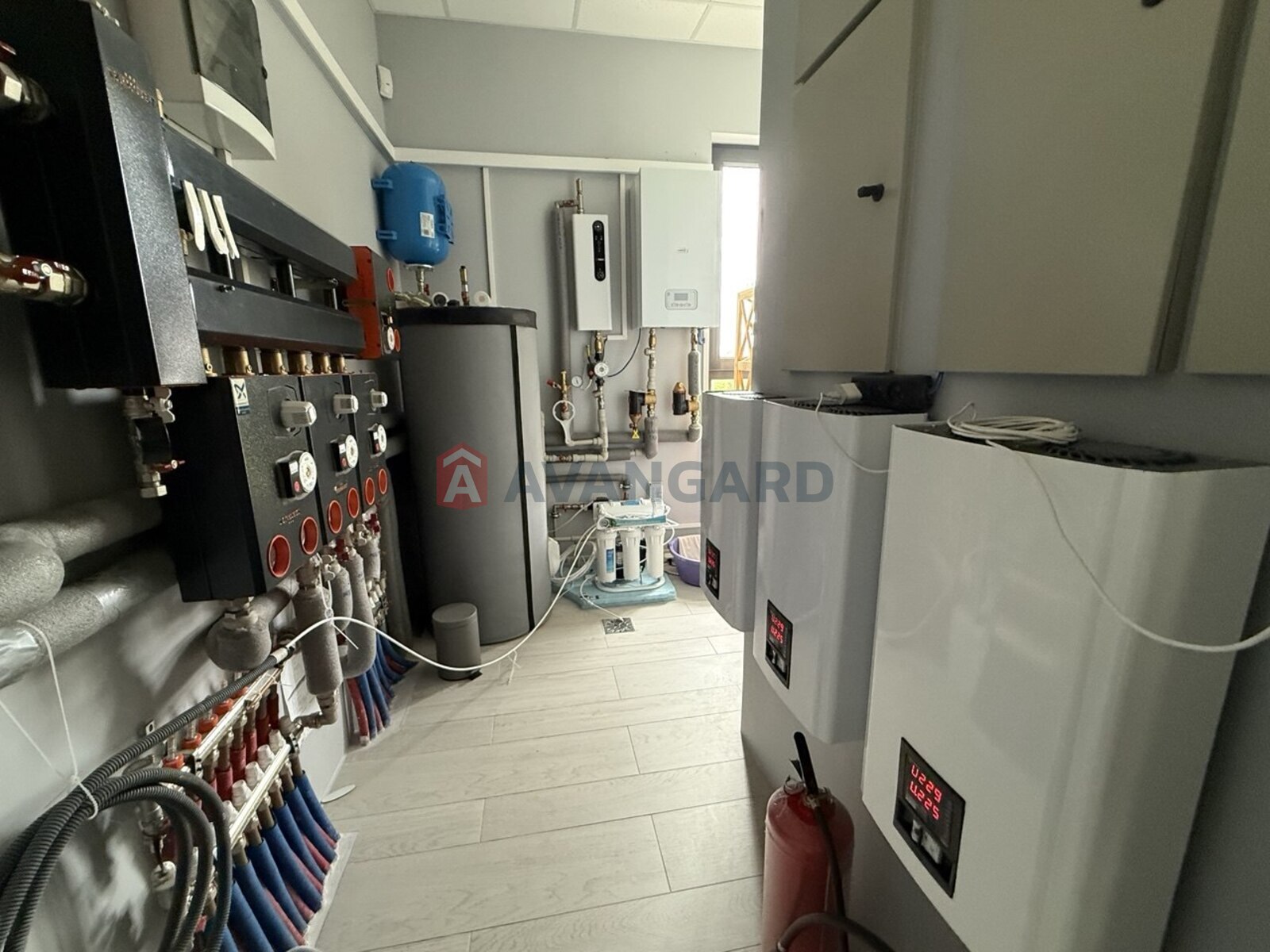 �������, 180 ��.�. ���� 19