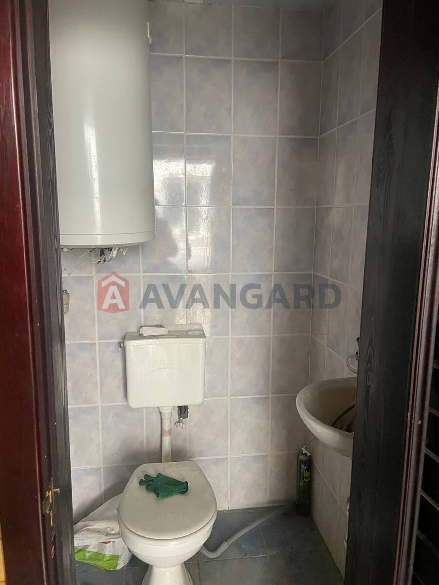 ����, 250 ��.�. ���� 24