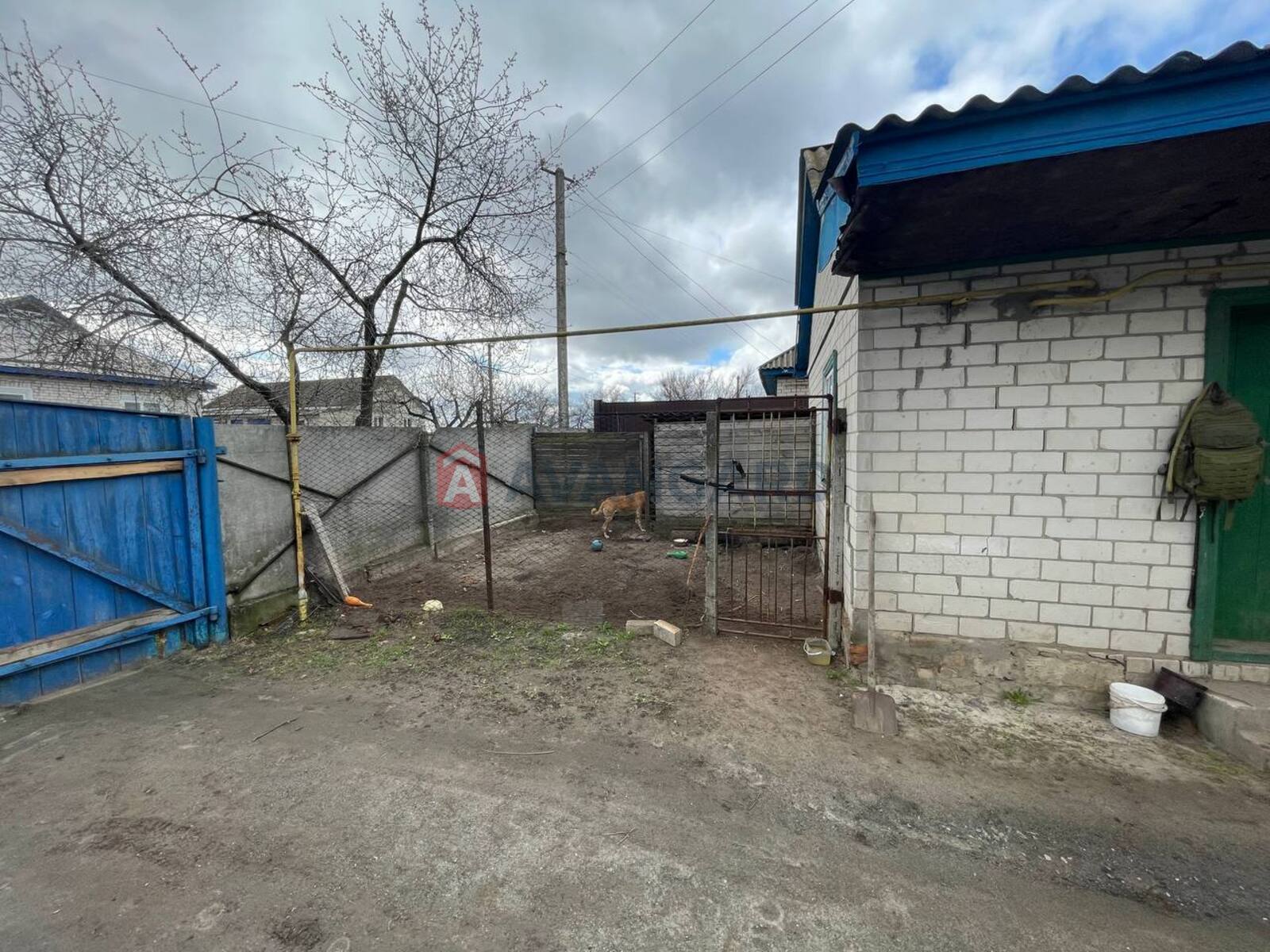 �������, 120 ��.�. ���� 5