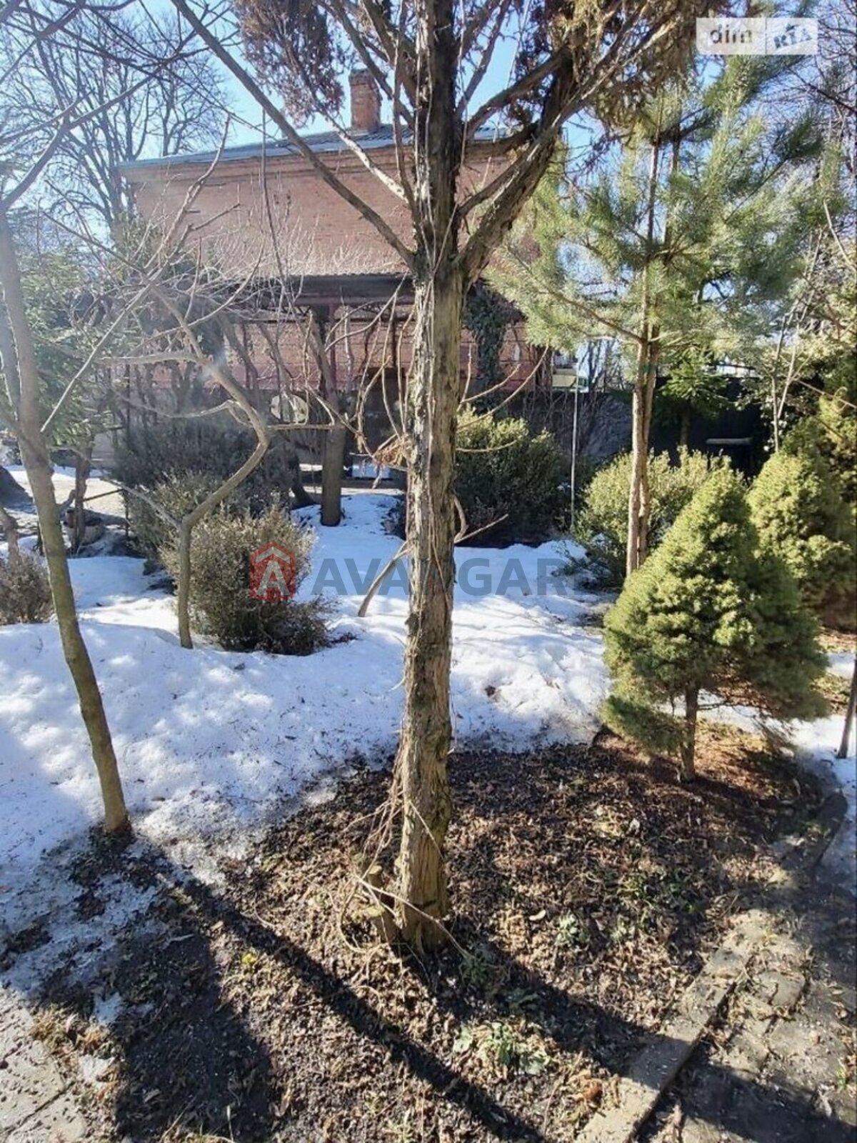 ������� �������, 65 ��.�. ���� 5