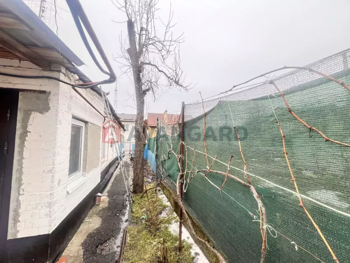 �������, 71 ��.�. ���� 7